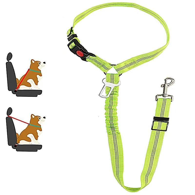 Reflective Pet Harness Leash: Night Safety Solution for Dogs - Premium Comfort & Visibility