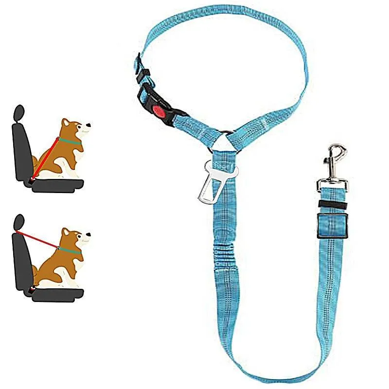 Reflective Pet Harness Leash: Night Safety Solution for Dogs - Premium Comfort & Visibility
