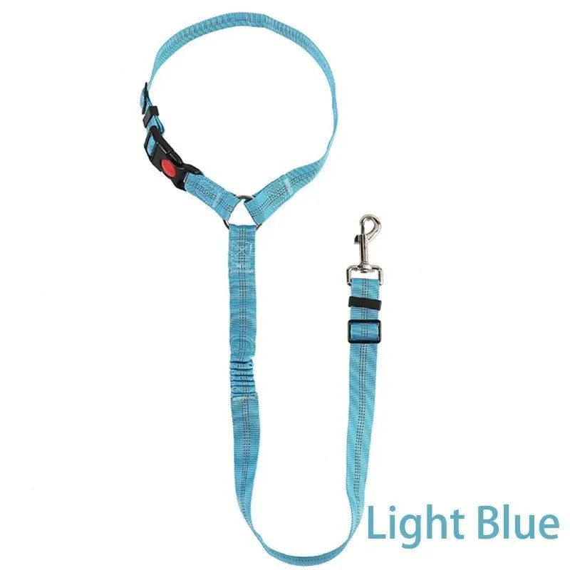 Reflective Pet Harness Leash: Night Safety Solution for Dogs - Premium Comfort & Visibility