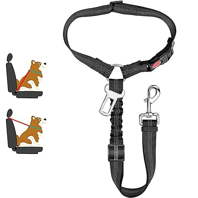 Reflective Pet Harness Leash: Night Safety Solution for Dogs - Premium Comfort & Visibility