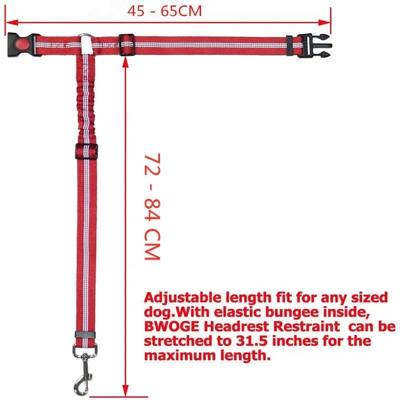 Reflective Pet Harness Leash: Night Safety Solution for Dogs - Premium Comfort & Visibility