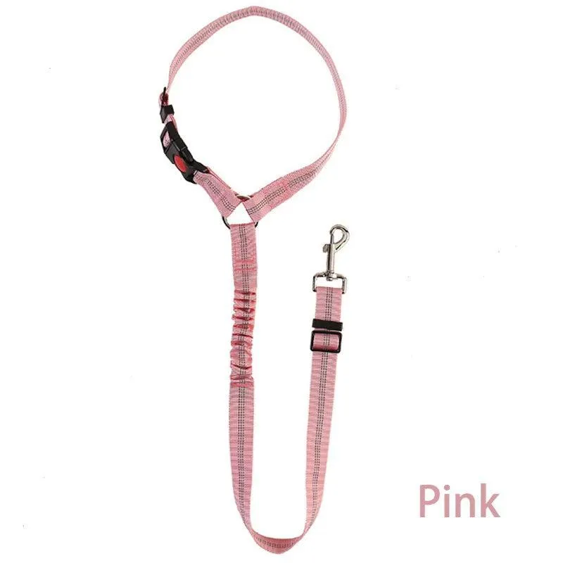 Reflective Pet Harness Leash: Night Safety Solution for Dogs - Premium Comfort & Visibility