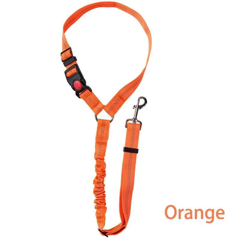 Reflective Pet Harness Leash: Night Safety Solution for Dogs - Premium Comfort & Visibility