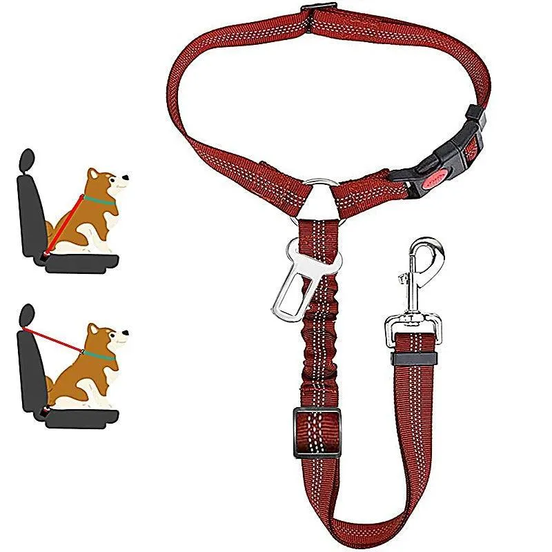 Reflective Pet Harness Leash: Night Safety Solution for Dogs - Premium Comfort & Visibility