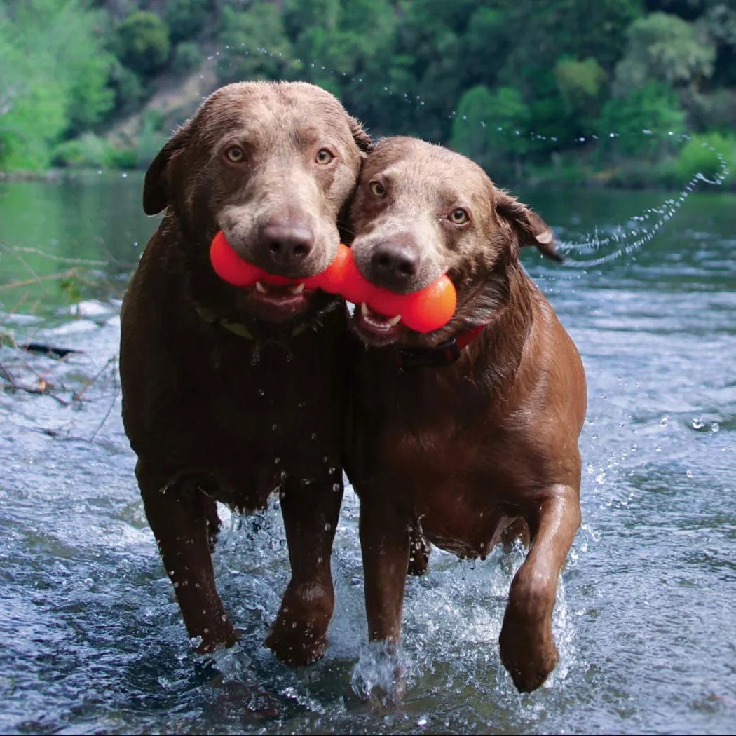 Ruff Dawg Indestructible Dawg-Buster