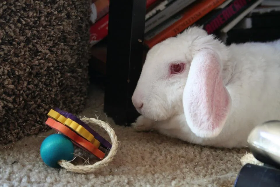 Sisal Keyring Rabbit Toy