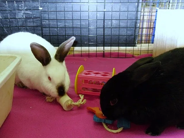 Sisal Keyring Rabbit Toy
