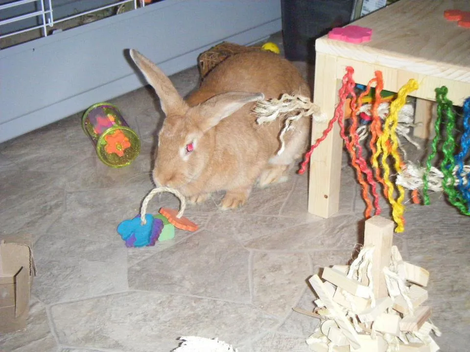 Sisal Keyring Rabbit Toy