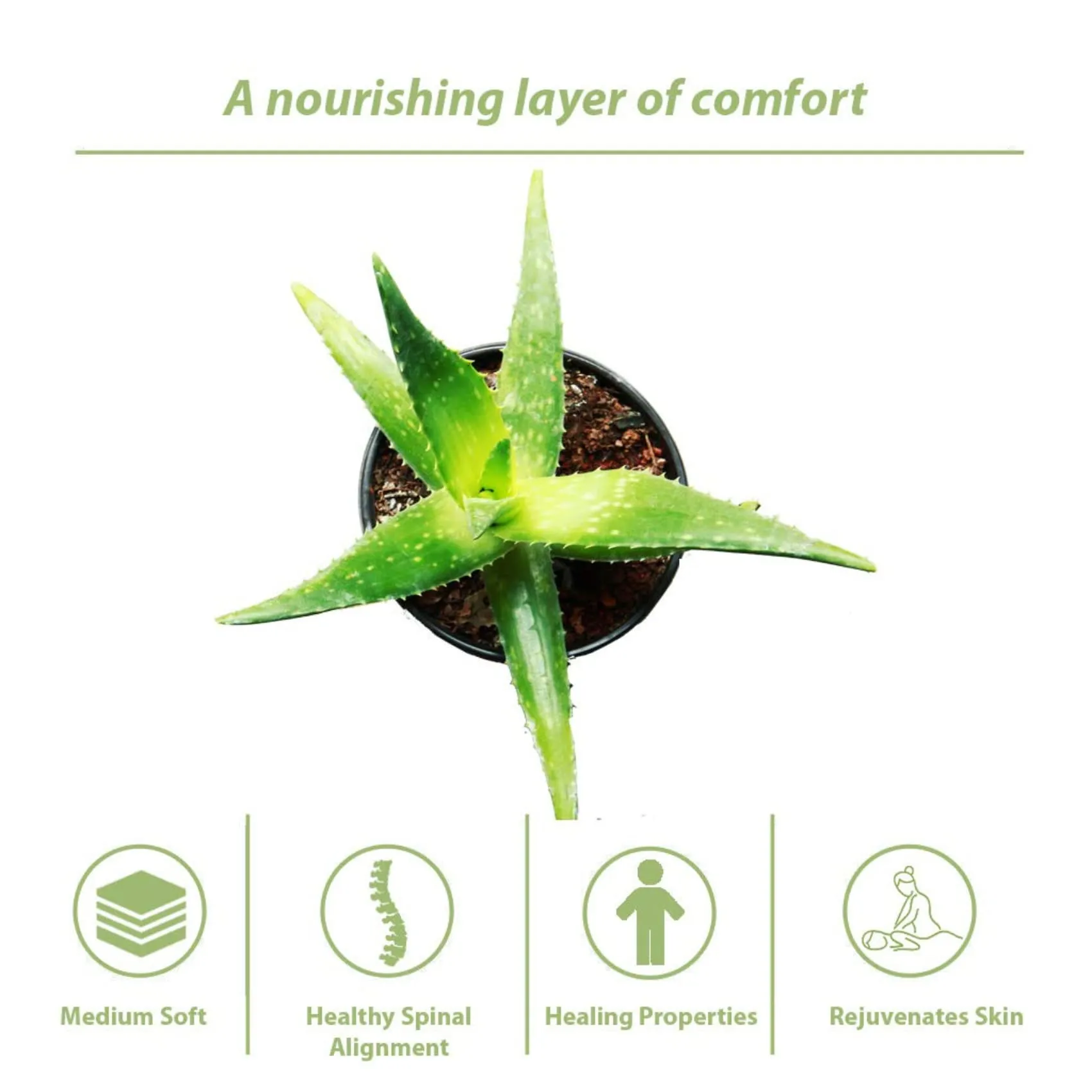 SLEEPSPA by COIRFIT Nature Rest Aloe Vera Fabric with HerbFRESH��Technology 6' Inch Single Size Memory Foam Mattress (78 x 30 x 6)