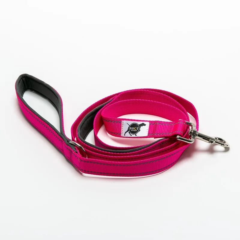 Trailhead Padded Dog Leash with Heel Handle