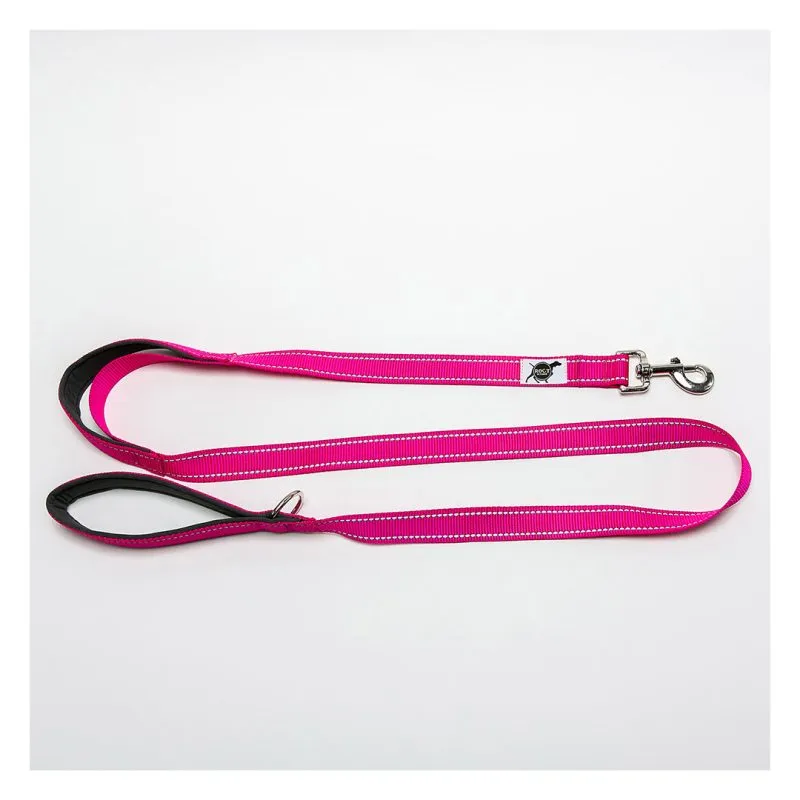 Trailhead Padded Dog Leash with Heel Handle