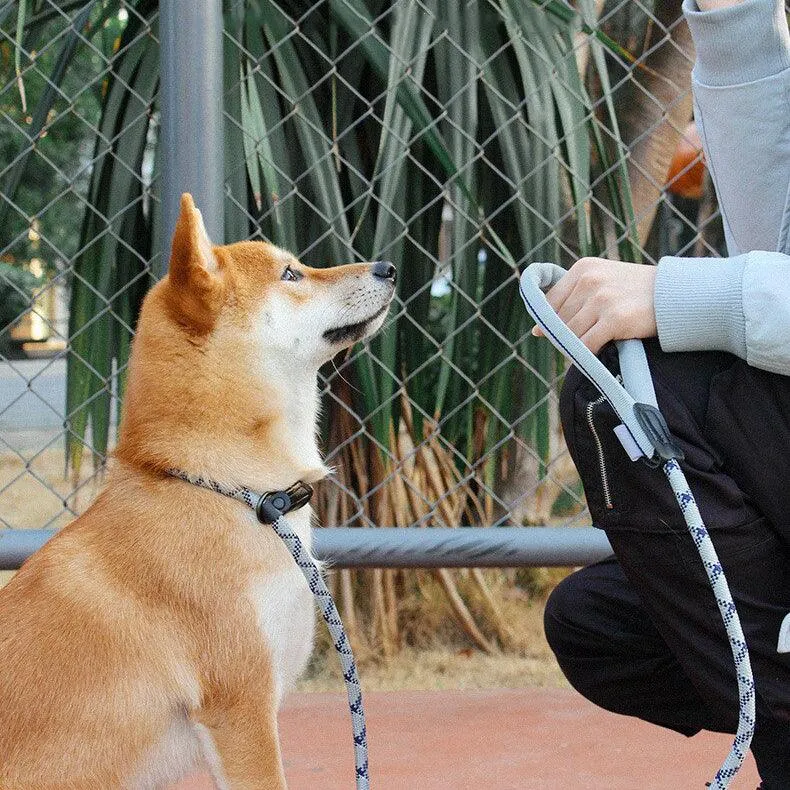 Tuff Hound Dog Slip Lead
