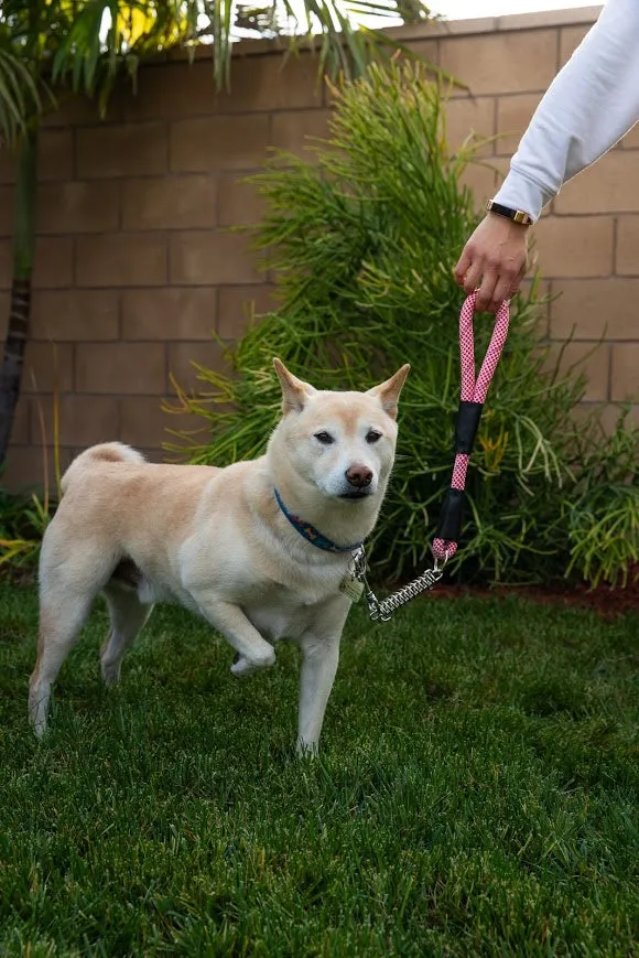Tug Control Dog Leash - Reflective, Shock Absorber, Comfortable Grip, Sleek Design, Strong Weave Accent, for Small/Medium/Large Dogs/Cats/Pets