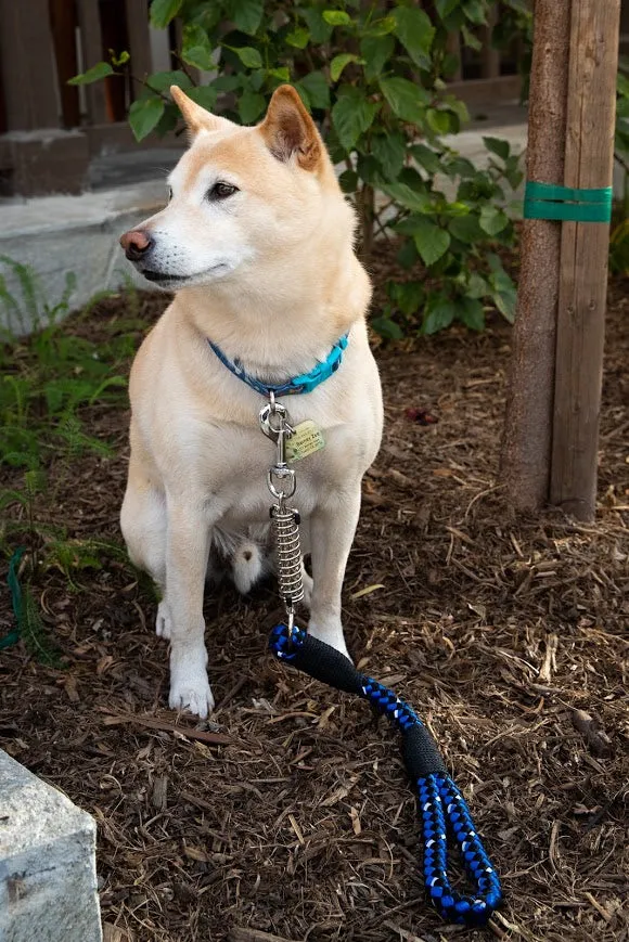 Tug Control Dog Leash - Reflective, Shock Absorber, Comfortable Grip, Sleek Design, Strong Weave Accent, for Small/Medium/Large Dogs/Cats/Pets