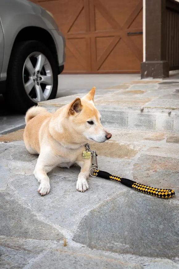 Tug Control Dog Leash - Reflective, Shock Absorber, Comfortable Grip, Sleek Design, Strong Weave Accent, for Small/Medium/Large Dogs/Cats/Pets