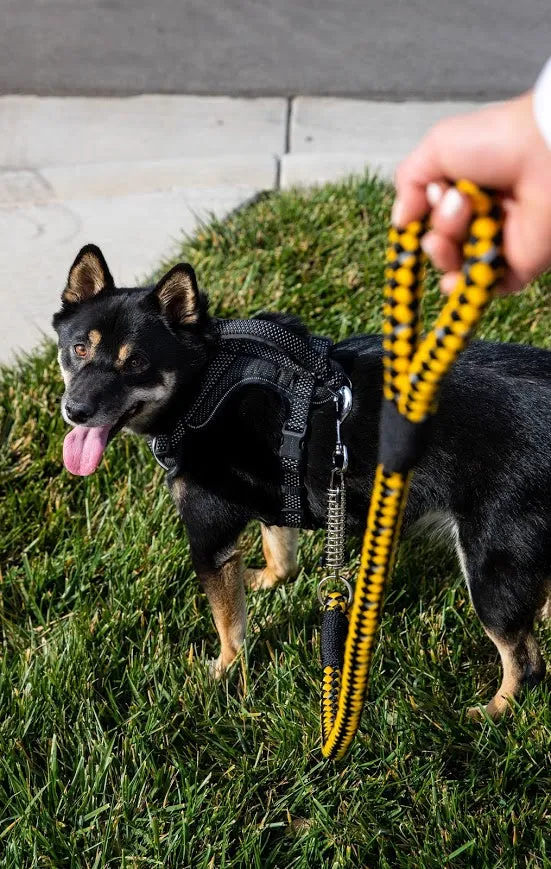 Tug Control Dog Leash - Reflective, Shock Absorber, Comfortable Grip, Sleek Design, Strong Weave Accent, for Small/Medium/Large Dogs/Cats/Pets