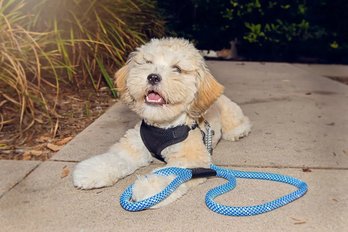 Tug Control Dog Leash - Reflective, Shock Absorber, Comfortable Grip, Sleek Design, Strong Weave Accent, for Small/Medium/Large Dogs/Cats/Pets
