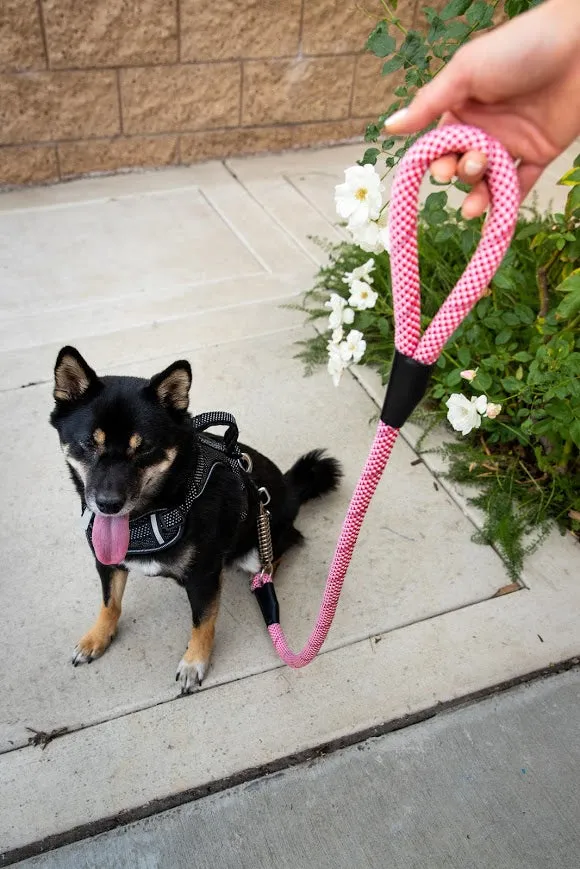 Tug Control Dog Leash - Reflective, Shock Absorber, Comfortable Grip, Sleek Design, Strong Weave Accent, for Small/Medium/Large Dogs/Cats/Pets