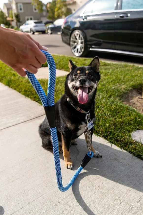 Tug Control Dog Leash - Reflective, Shock Absorber, Comfortable Grip, Sleek Design, Strong Weave Accent, for Small/Medium/Large Dogs/Cats/Pets