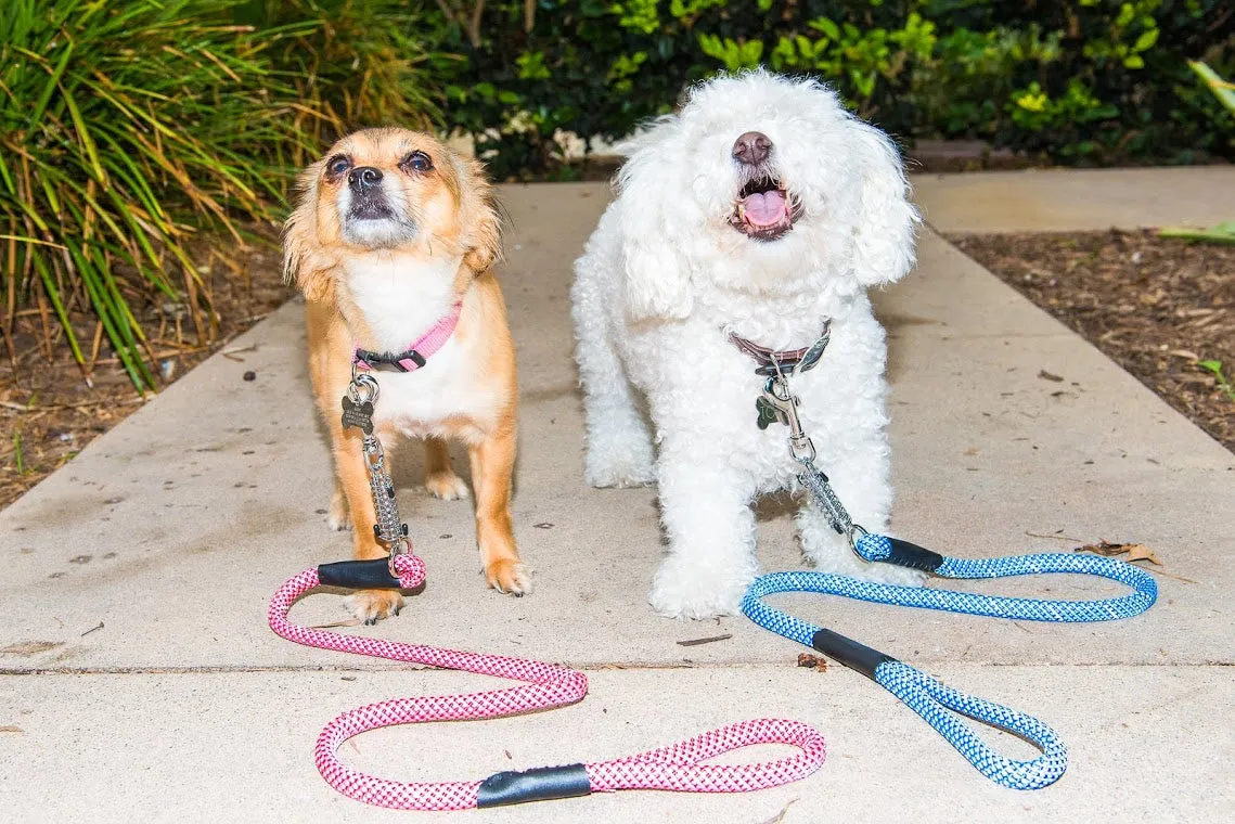 Tug Control Dog Leash - Reflective, Shock Absorber, Comfortable Grip, Sleek Design, Strong Weave Accent, for Small/Medium/Large Dogs/Cats/Pets